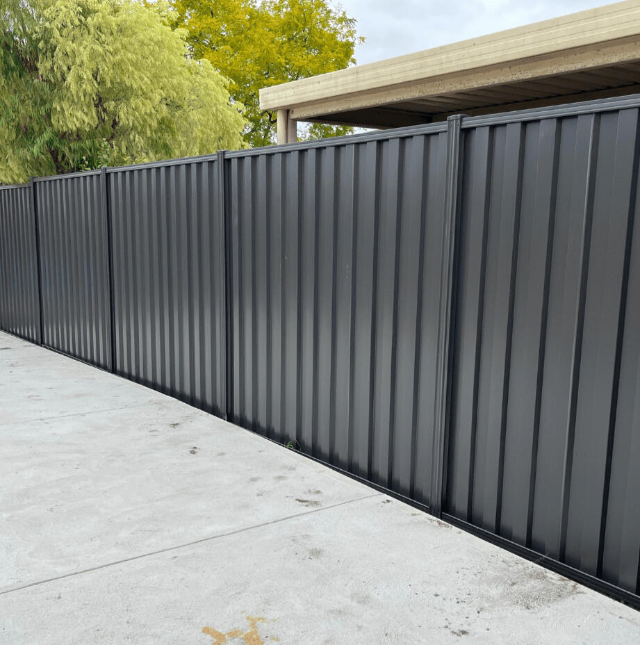 Colorbond Fence
